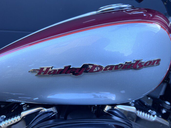 Harley-Davidson 1200C Sportster uit 2004 special Paint ****End of Summer SALE!!!!!!****