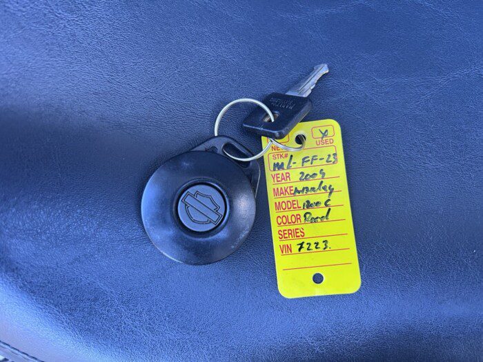 Harley-Davidson 1200C Sportster uit 2004 special Paint ****End of Summer SALE!!!!!!****