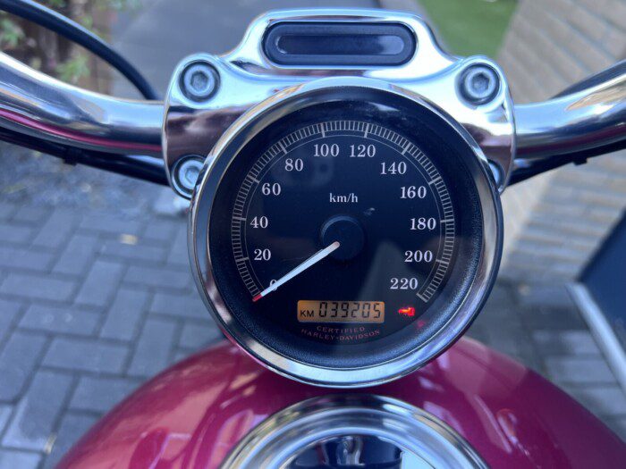 Harley-Davidson 1200C Sportster uit 2004 special Paint ****End of Summer SALE!!!!!!****