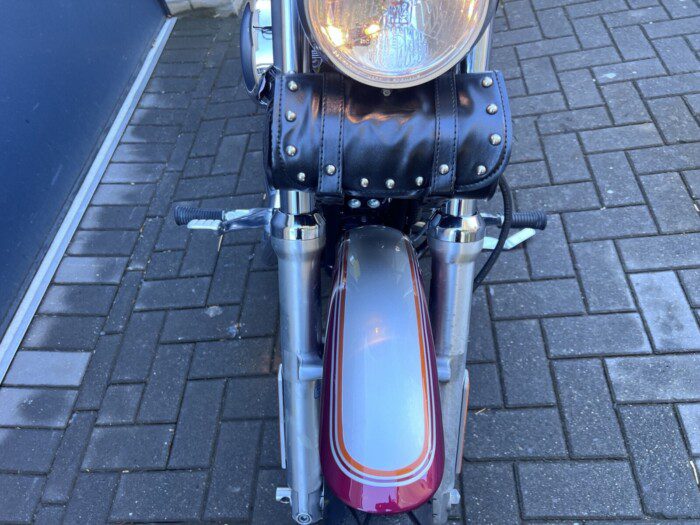 Harley-Davidson 1200C Sportster uit 2004 special Paint ****End of Summer SALE!!!!!!****