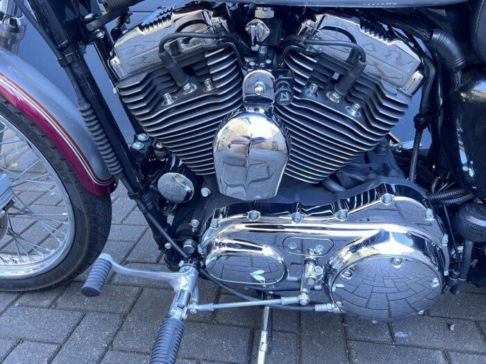 Harley-Davidson 1200C Sportster uit 2004 special Paint ****End of Summer SALE!!!!!!****